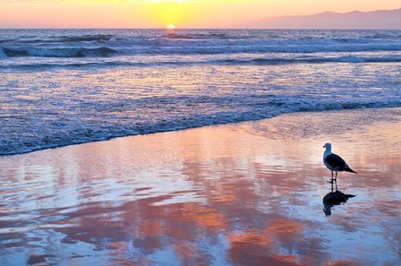 Venice Beach Sunset by Lori Hutchison art print