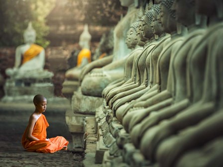 Young Buddhist Monk praying, Thailand by Pangea Images art print