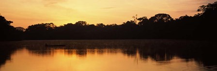 Reflection of Trees in Napo River, Oriente, Ecuador by Panoramic Images art print