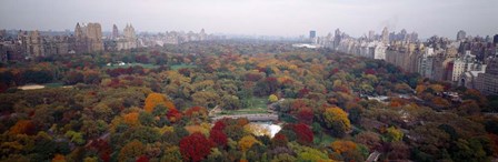 Trees in a Park, Central Park, Manhattan by Panoramic Images art print