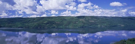 View of Tyrifjorden, Honefoss, Norway by Panoramic Images art print
