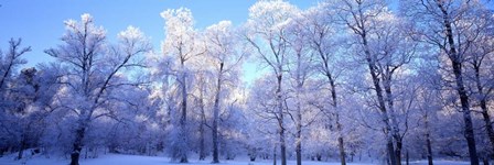 Park in Stockholm Sweden by Panoramic Images art print