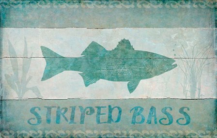 Striped Bass by Cora Niele art print