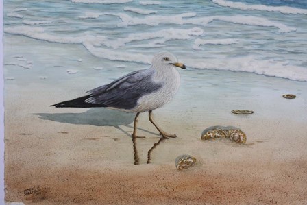 1 Seagull by Patrick Sullivan art print