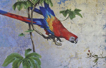 Parrot by Michael Jackson art print