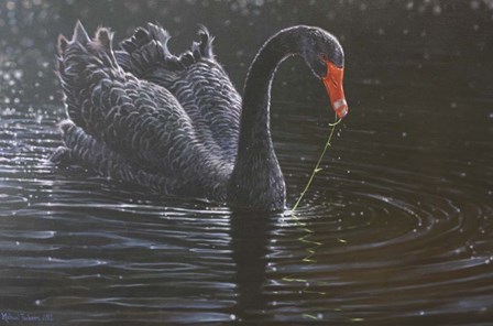 Black Swan by Michael Jackson art print