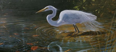 Egret by Michael Jackson art print