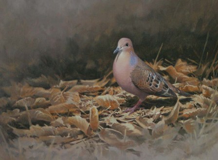 Mourning Dove by Michael Jackson art print