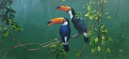 Toucans by Michael Jackson art print