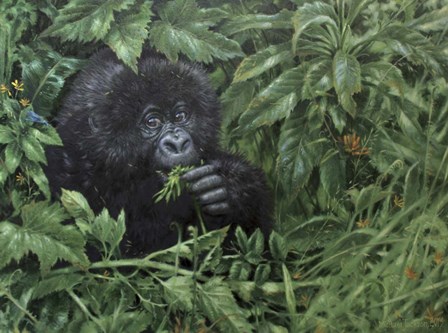Gorilla 1 by Michael Jackson art print