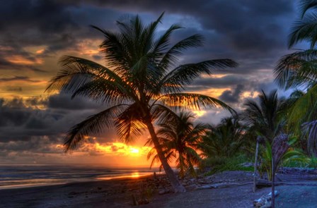 Tropical Sunset by Robert Kaler art print