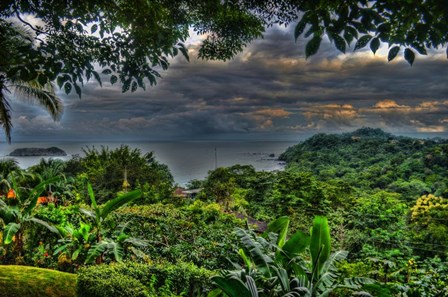 Lush View by Robert Kaler art print