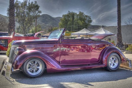 Pink Beauty by Robert Kaler art print