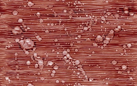 Bubbles by Stessi art print
