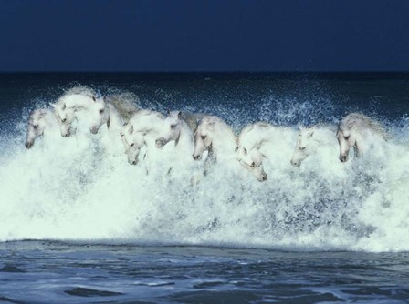 Foam Followers by Bob Langrish art print