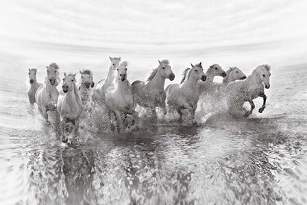 Illusion Of Power (13 Horse Power Though) by Roman Golubenko art print