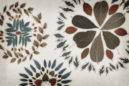 Leaf Pattern V by Edward Selkirk art print