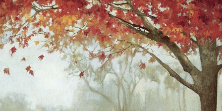Fall Canopy II by Posters International Studio art print