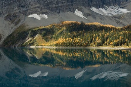 Floe Lake by Alan Majchrowicz art print