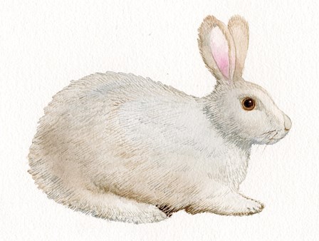 Spring Bunny IV White by Kathleen Parr McKenna art print