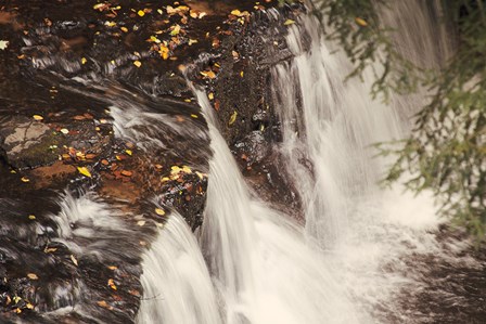 Mosquito Falls I by Laura Marshall art print