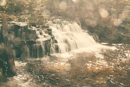 Mosquito Falls II by Laura Marshall art print