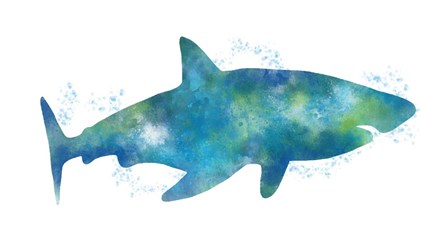 Watercolor Shark III by Linda Woods art print