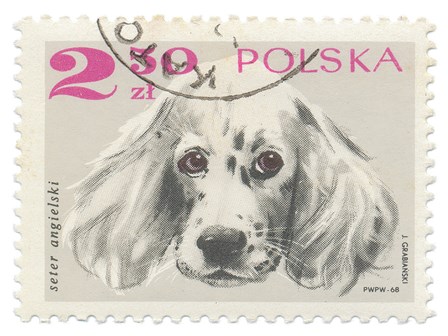 Poland Stamp IV on White by Wild Apple Portfolio art print