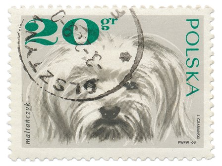 Poland Stamp II on White by Wild Apple Portfolio art print