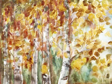 Watercolor Fall Aspens by Tre Sorelle Studios art print
