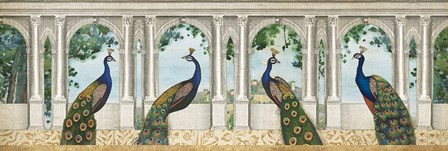Elegant Peacock I by Wild Apple Portfolio art print