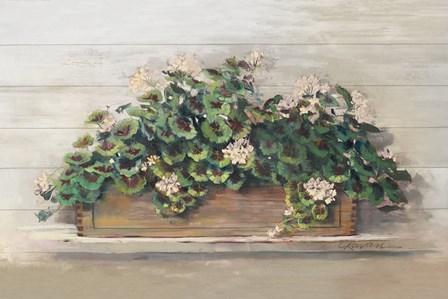 Market Geraniums Crop by Carol Rowan art print