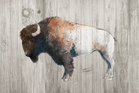Colorful Bison Dark Brown on Wood by Avery Tillmon art print