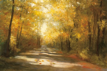 Gap Road by Julia Purinton art print