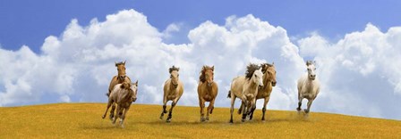 Herd of Wild Horses (detail) by Pangea Images art print