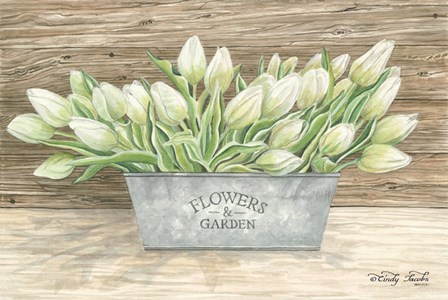 Flowers &amp; Garden Tulips by Cindy Jacobs art print