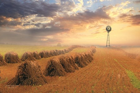 Amish Country Sunrise by Lori Deiter art print