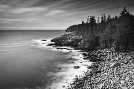 Acadia Coastline BW by Michael Blanchette Photography art print