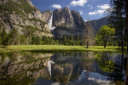 Yosemite Falls Reflection by Mike Jones Photo art print