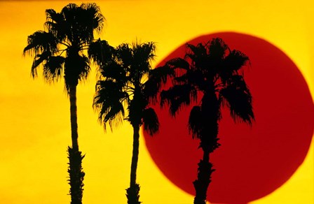1990S 3 Silhouetted Palm Trees by Vintage PI art print