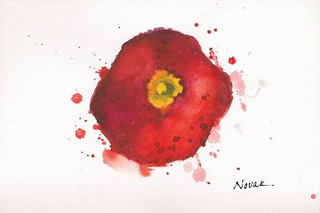 Splash III by Shirley Novak art print