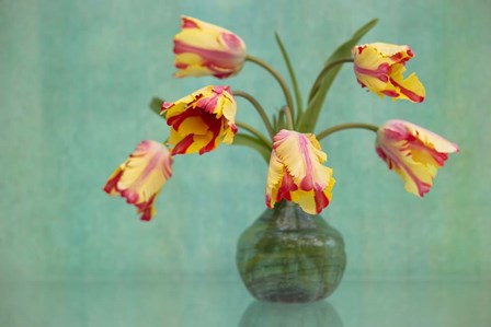 Rembrandt Tulips by Cora Niele art print