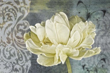 Classic Double White Tulip II by Cora Niele art print