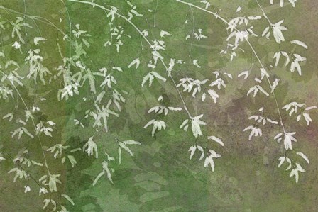 Floral Flurry Green by Cora Niele art print