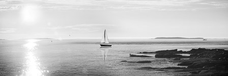 Evening Sail Black and White Crop by Sue Schlabach art print