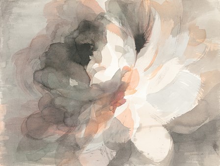 Abstract Peony by Danhui Nai art print