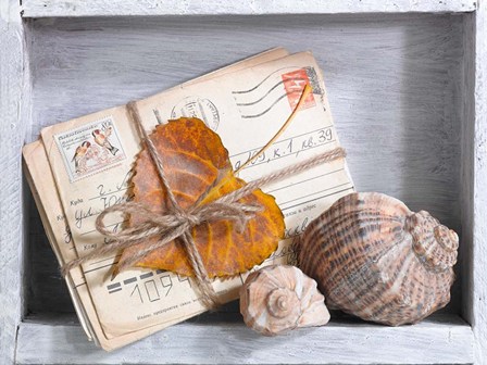 Letters &amp; Shells by A.V. Art art print