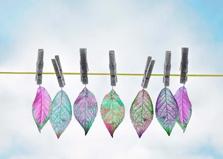 Leaves on Clothes Line by A.V. Art art print