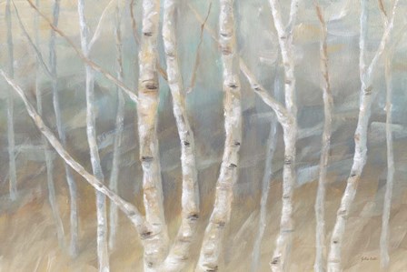 Silver Birch Landscape by Cynthia Coulter art print