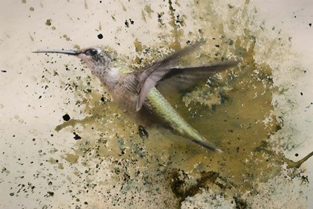 On The Fly by Jai Johnson art print